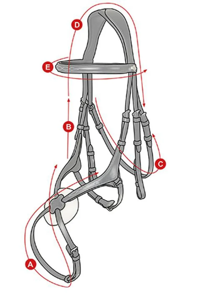 LeMieux Grackle Bridle Size Guide